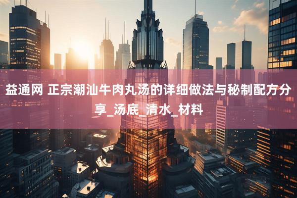 益通网 正宗潮汕牛肉丸汤的详细做法与秘制配方分享_汤底_清水_材料