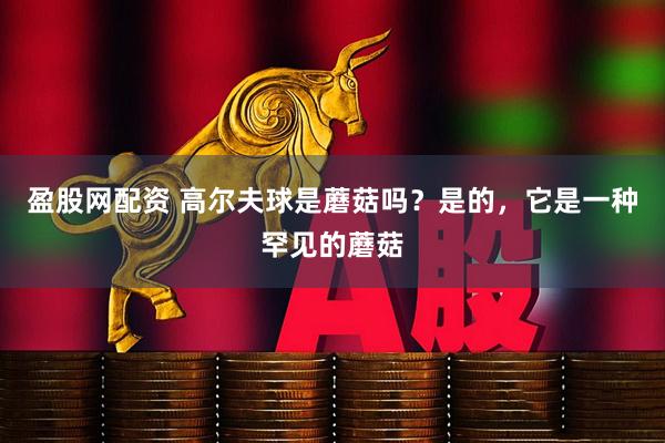 盈股网配资 高尔夫球是蘑菇吗？是的，它是一种罕见的蘑菇
