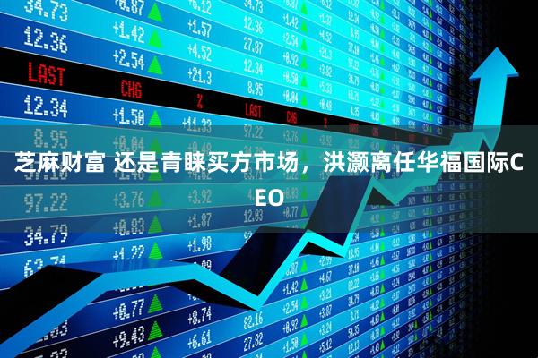 芝麻财富 还是青睐买方市场，洪灏离任华福国际CEO